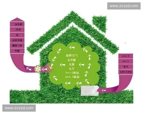 守护家居健康生活打造安全舒适绿色宜居空间提升全家健康品质新体验